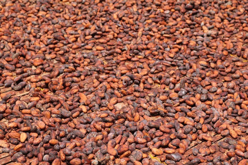 cocoa-beans-1850312_1280